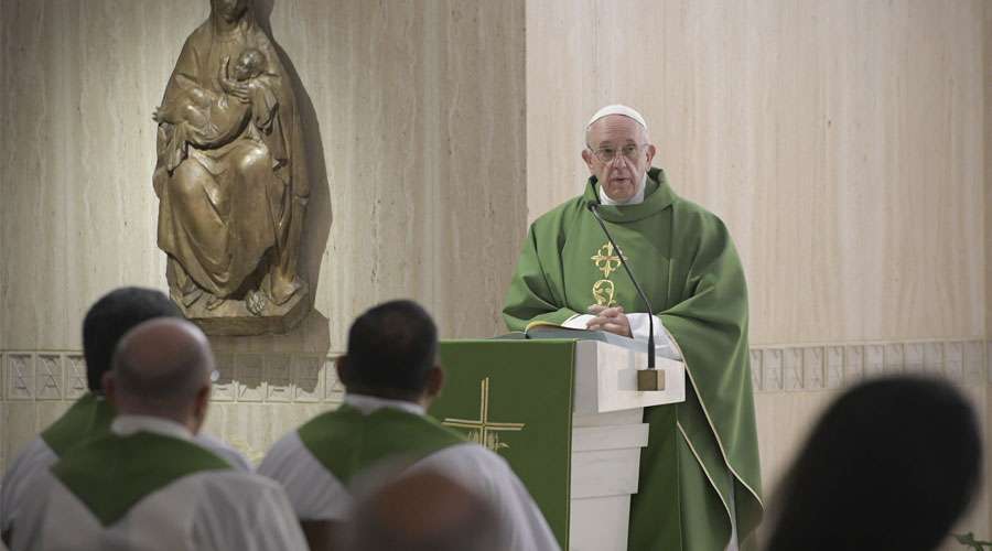 papa francisco misa santa marta